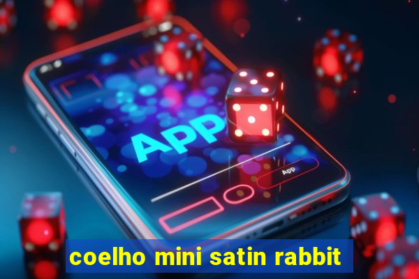 coelho mini satin rabbit